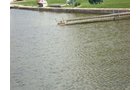 Property photo 9 - Real Estate Auction - Big Chapman Lake - Lakefront Cottage